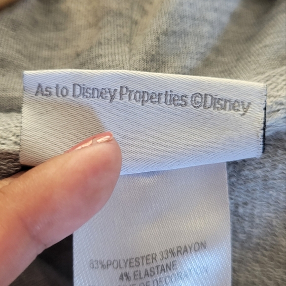 Disneyland Logo Pullover Size XL - Picture 5 of 7